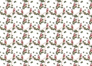 chickadees wallpaper up close