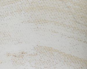Sand & Stone Mural