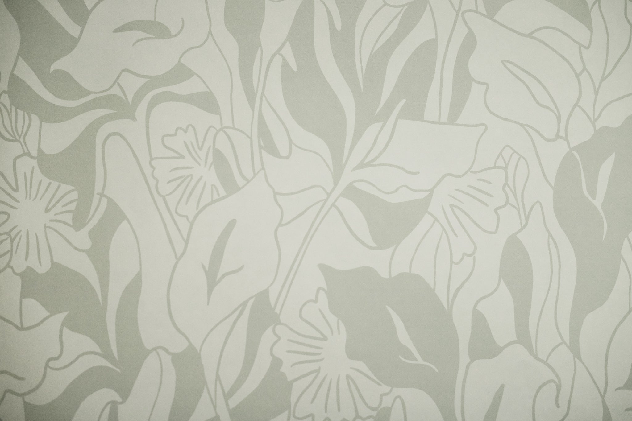 Calla Lily Wallpaper