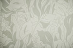 Calla Lily Wallpaper