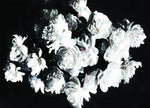 Bouquet of Peonies Wallpaper