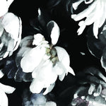 peonies on black background wallpaper