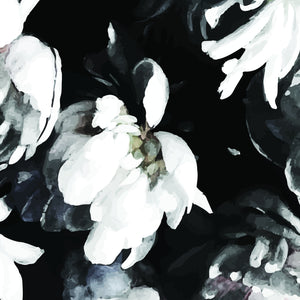 peonies on black background wallpaper
