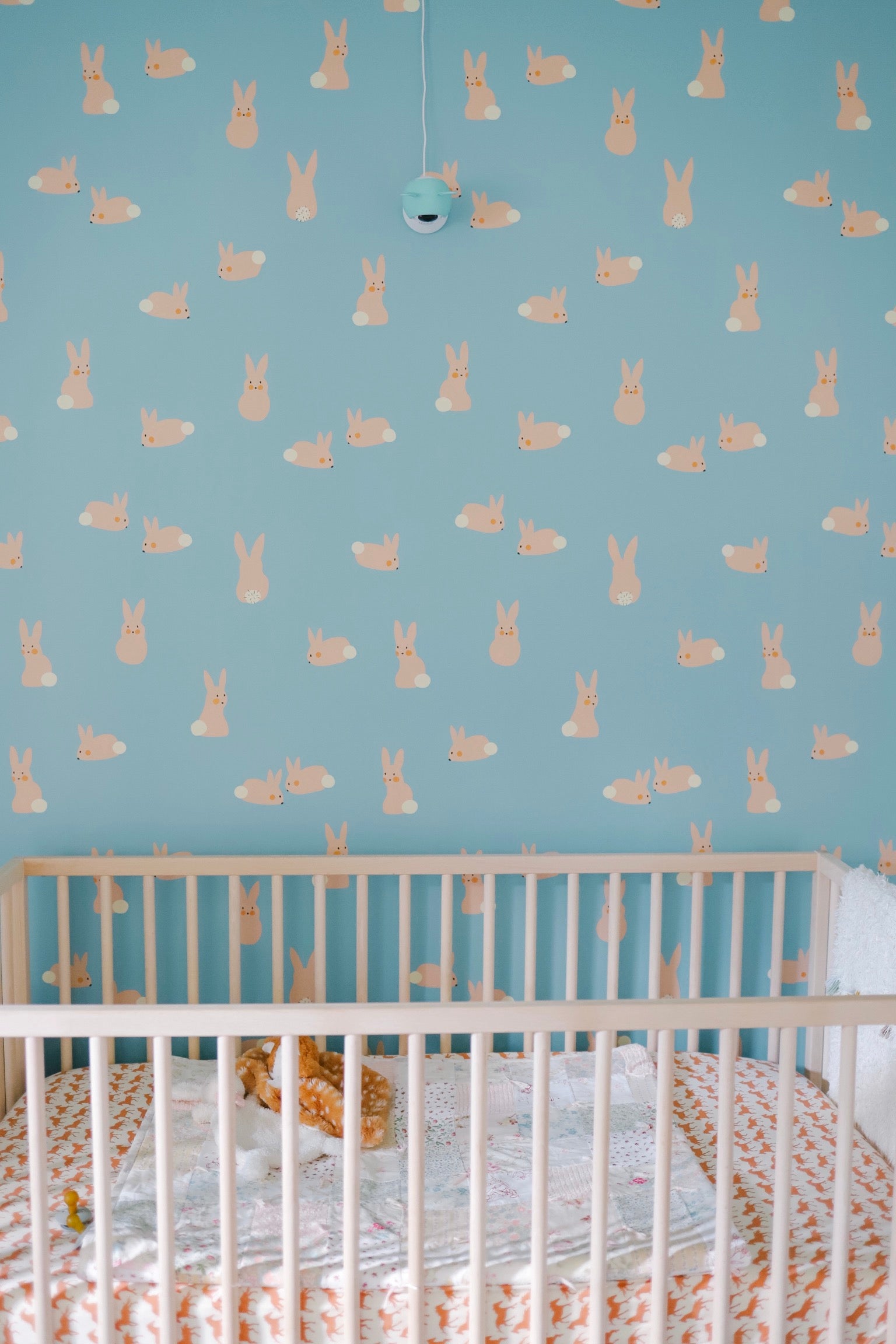 Cottontail Wallpaper