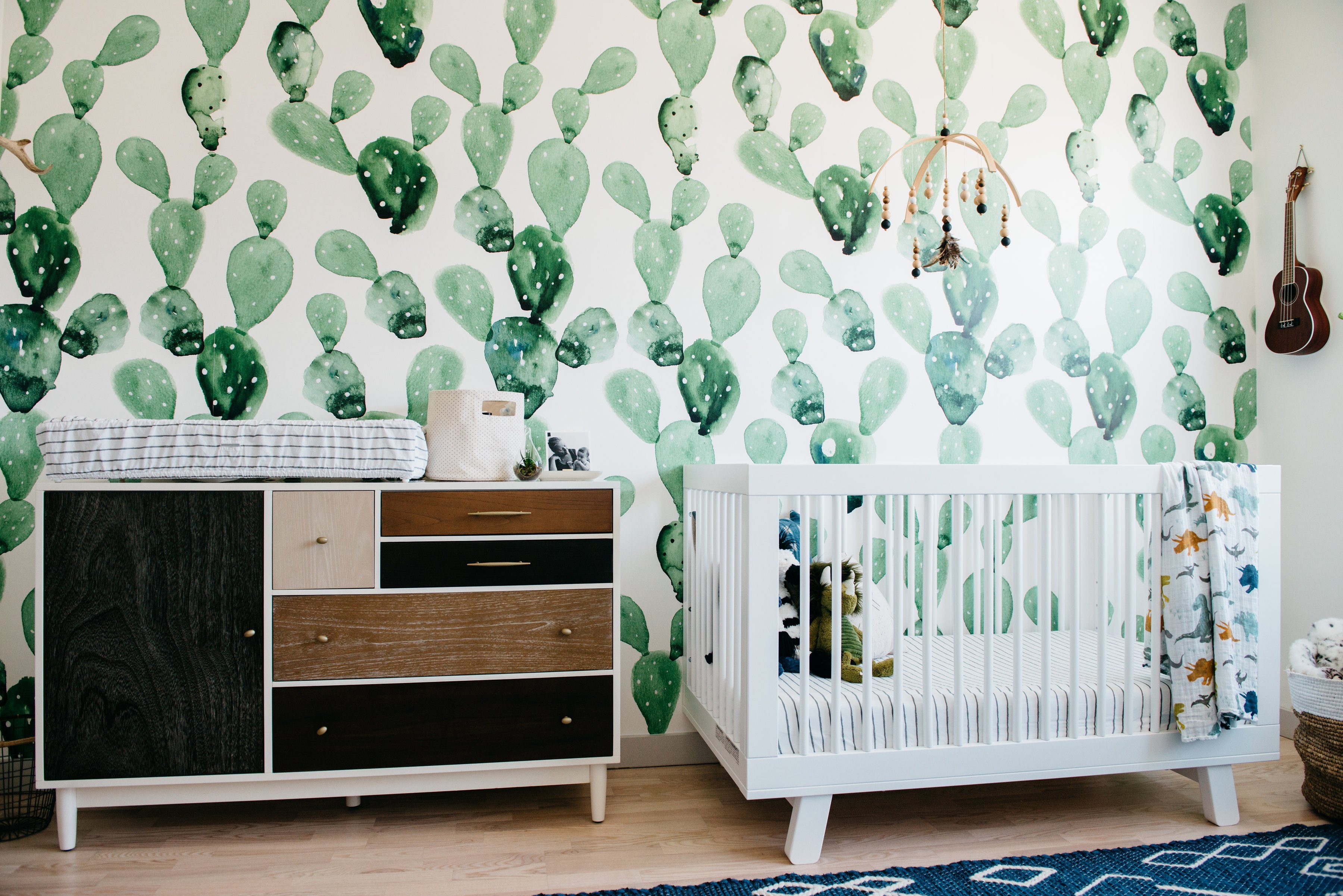 vibrant cactus design mural