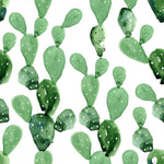 cactus wallpaper