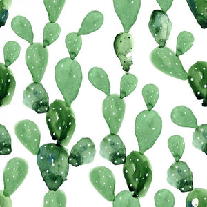 cactus wallpaper