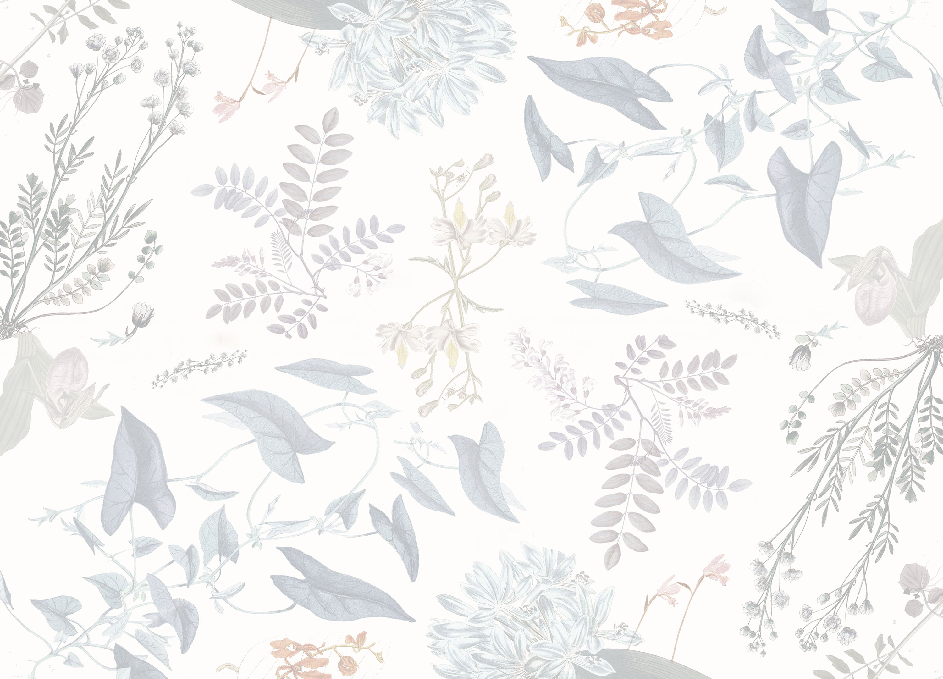 botanical wallpaper