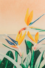 tropical design mural