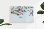 Just Peachy Mural