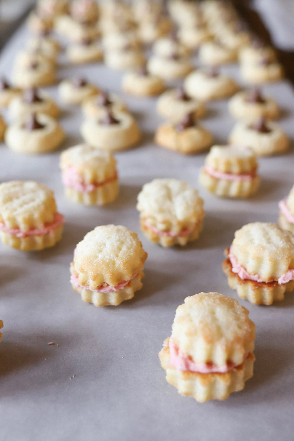 pink holiday cookies