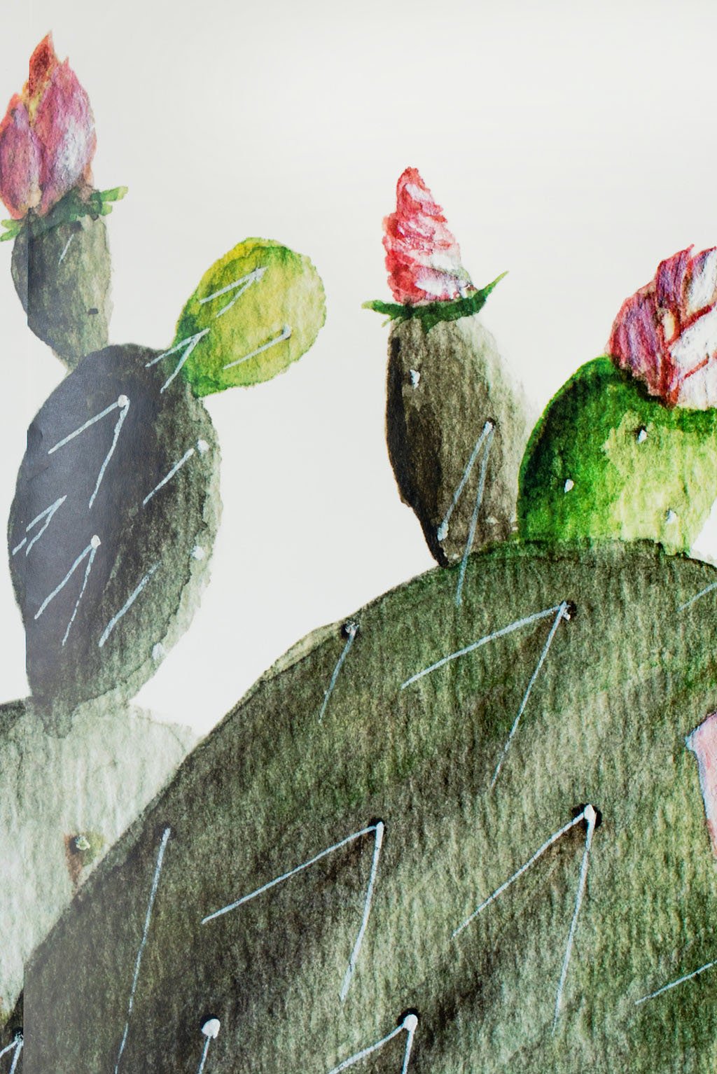 prickly pear cactus wallpaper