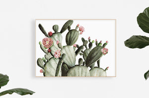 cactus art print