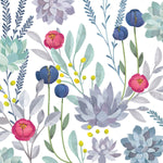 succulent wallpaper