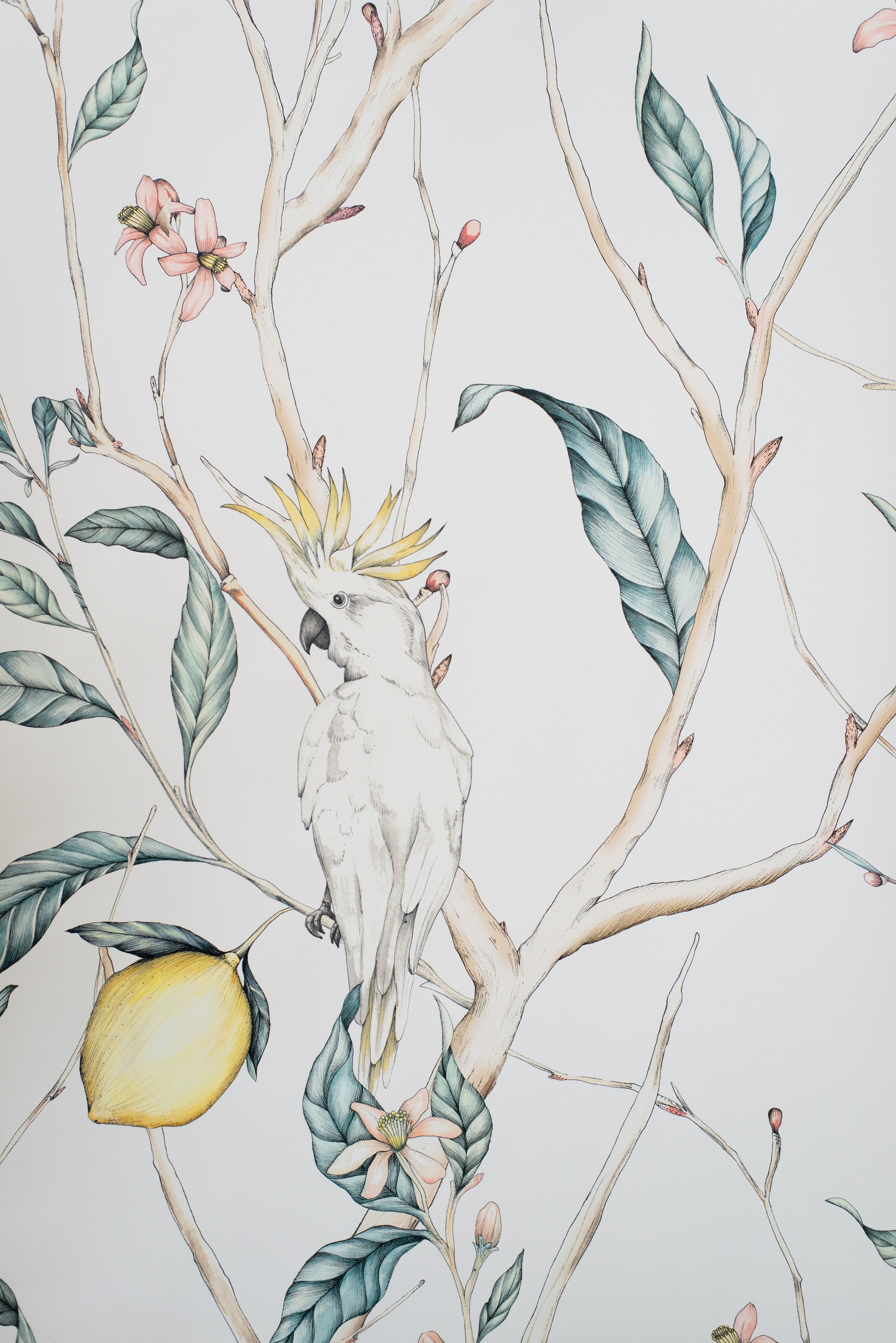 cockatoo wallpaper mural