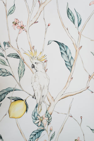 cockatoo wallpaper mural