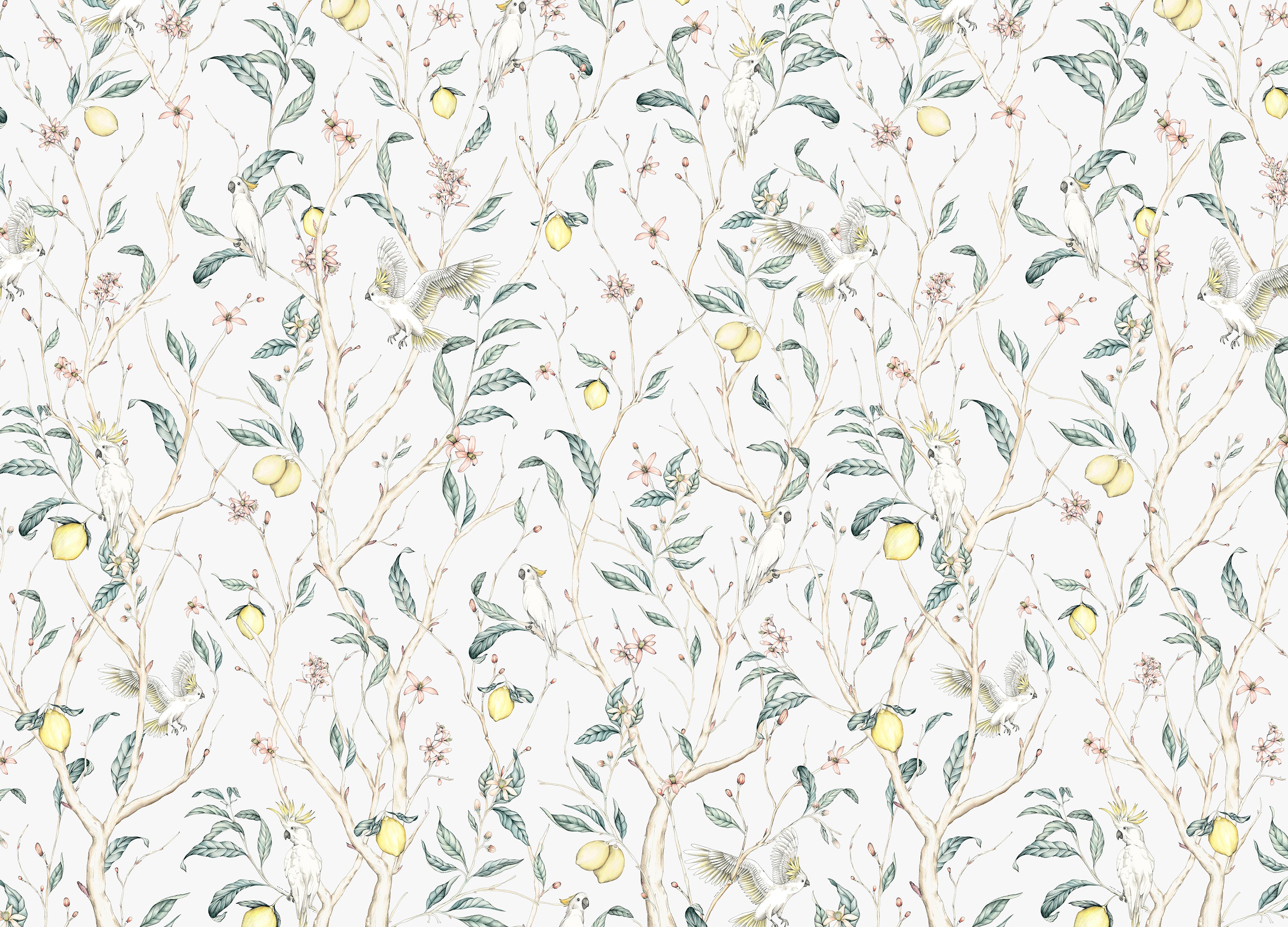 The Verbena Lemon Tree Wallpaper
